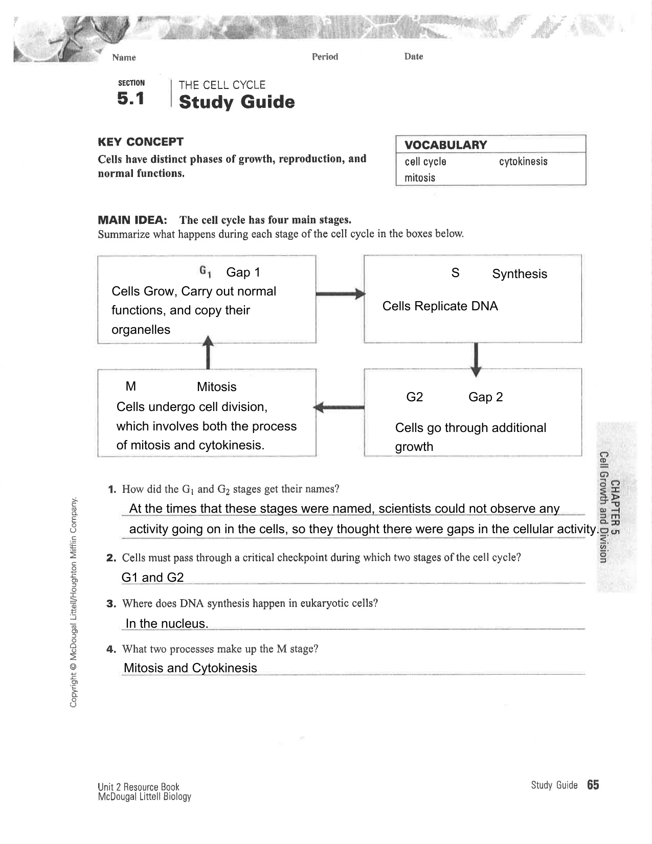 The Eukaryotic Cell Cycle And Cancer Worksheet Answers 