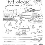 The Hydrologic Cycle Water Cycle Worksheet Water Cycle Kindergarten