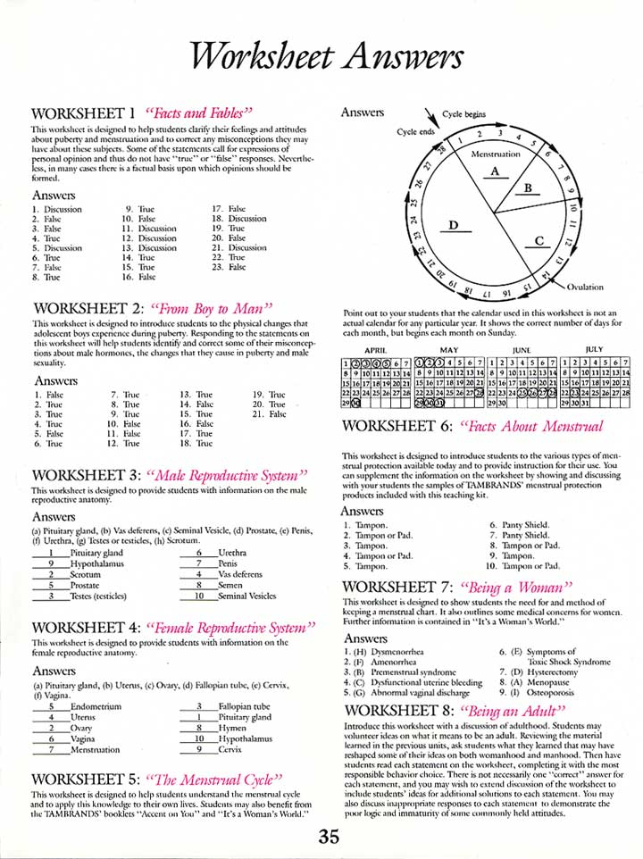 The Menstrual Cycle Worksheet Nidecmege