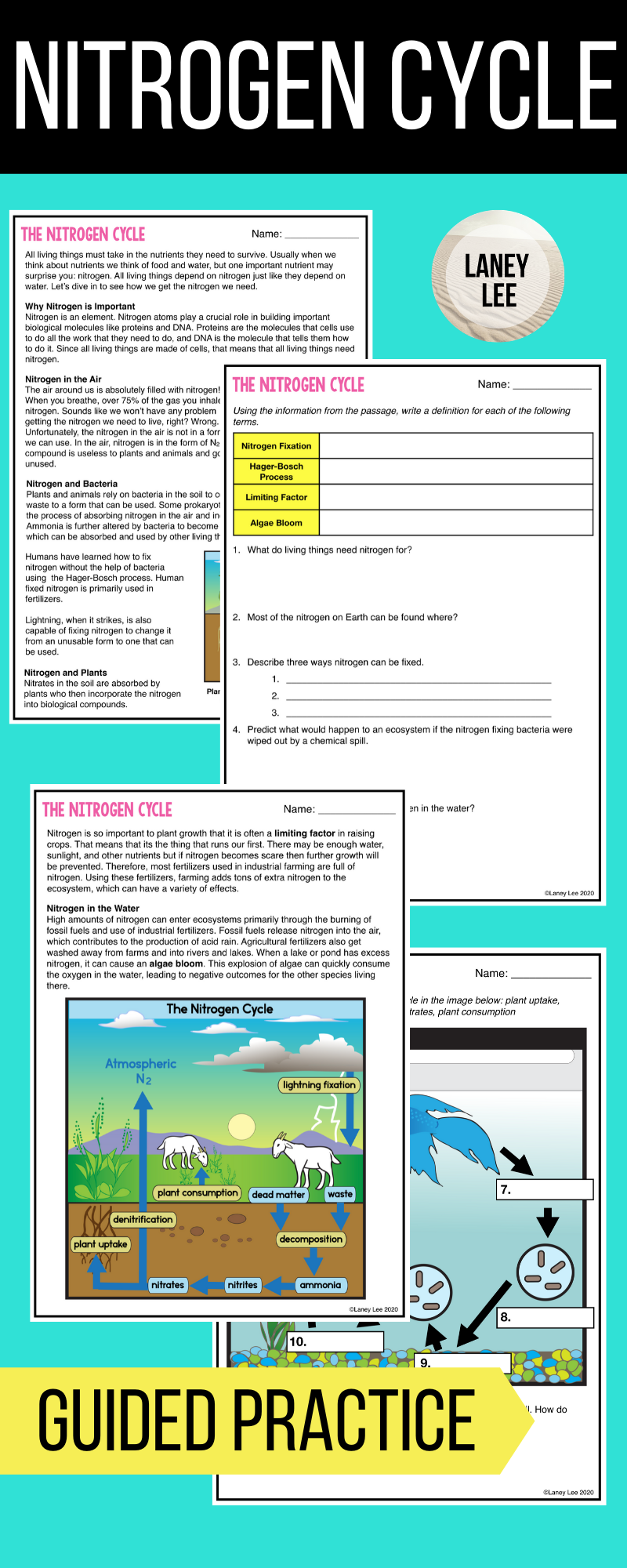 The Nitrogen Cycle Guided Practice PDF Digital Versions Middle 