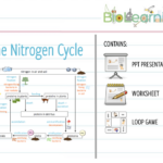 The Nitrogen Cycle Worksheet Nidecmege