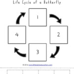 The Very Hungry Caterpillar Theme Free Life Cycle Of A Butterfly Prin