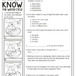 The Water Cycle Quiz Worksheet