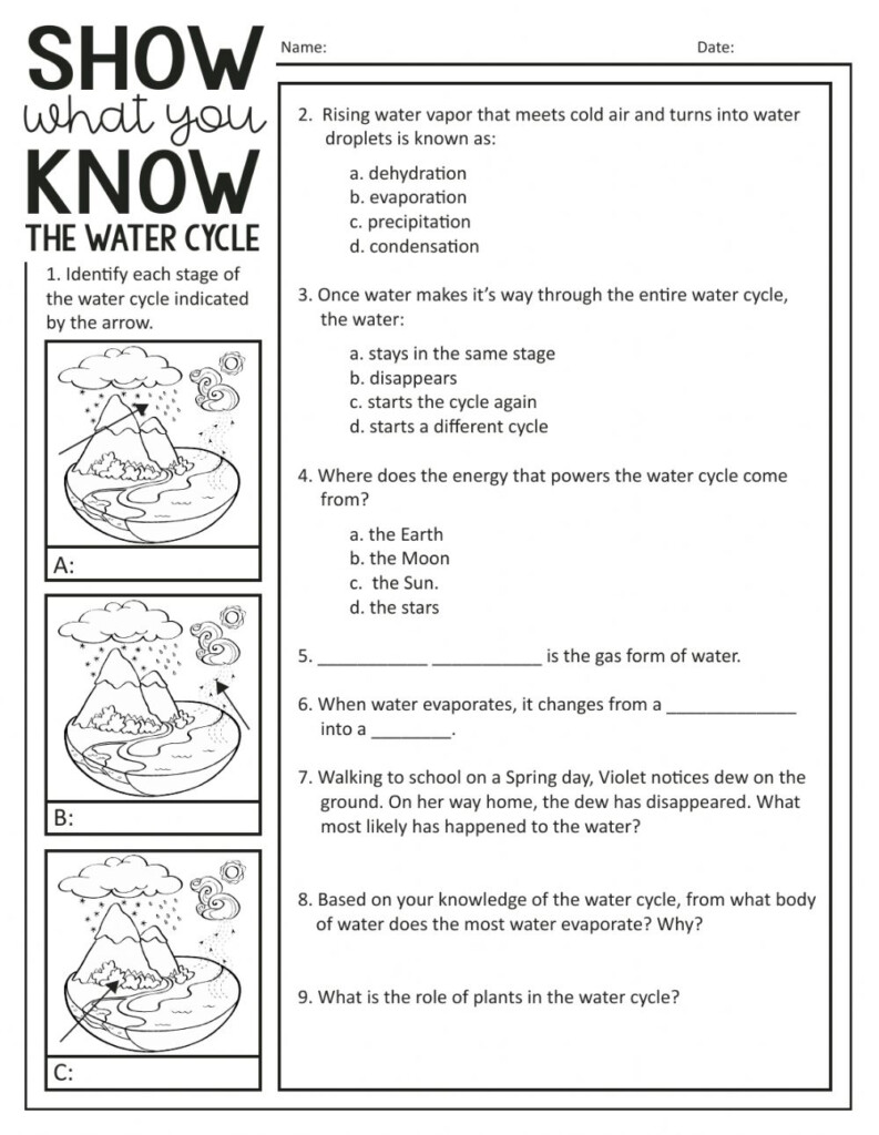 The Water Cycle Quiz Worksheet