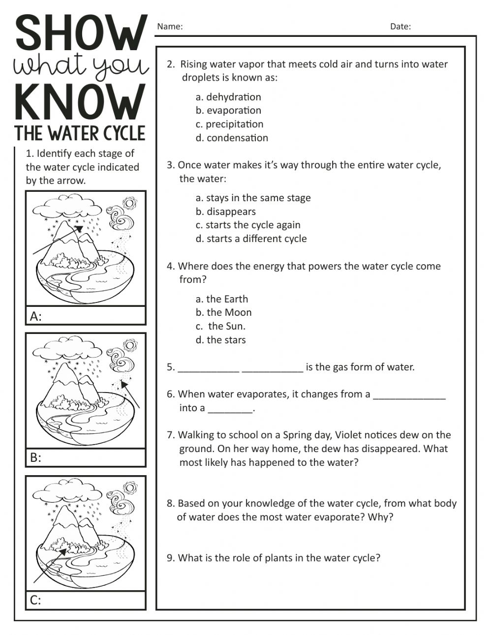 The Water Cycle Quiz Worksheet