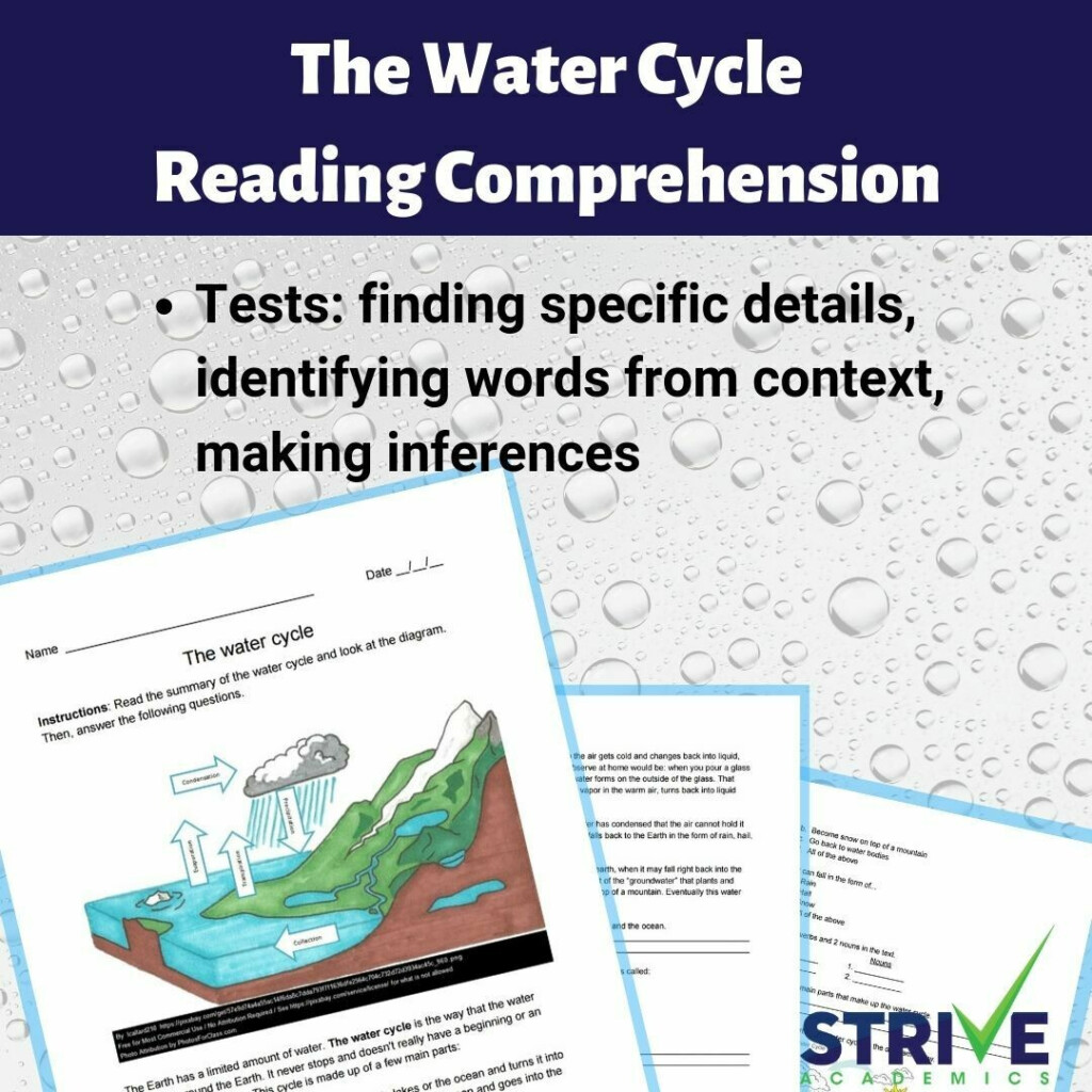 The Water Cycle Reading Comprehension Worksheet