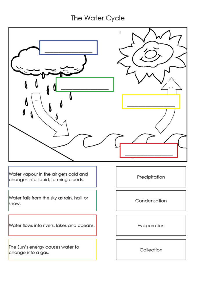 THE WATER CYCLE Science Blog