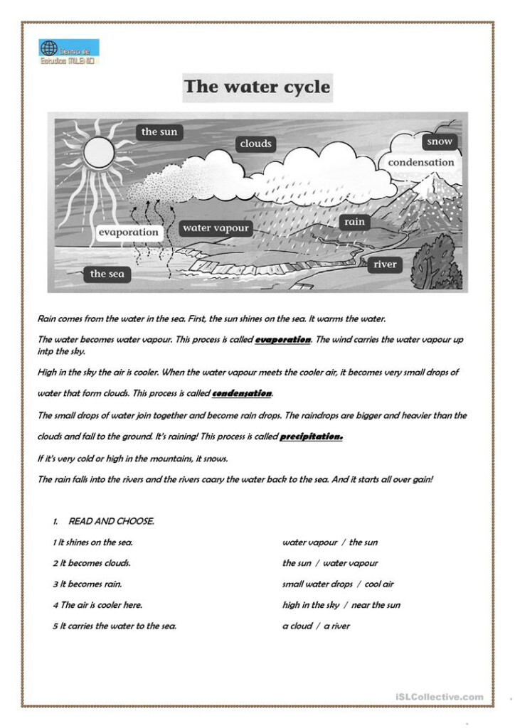 The Water Cycle Worksheet Free ESL Printable Worksheets Made By Teachers