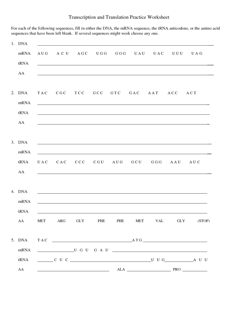 Transcription And Translation Practice Worksheet 1 Transcription And 