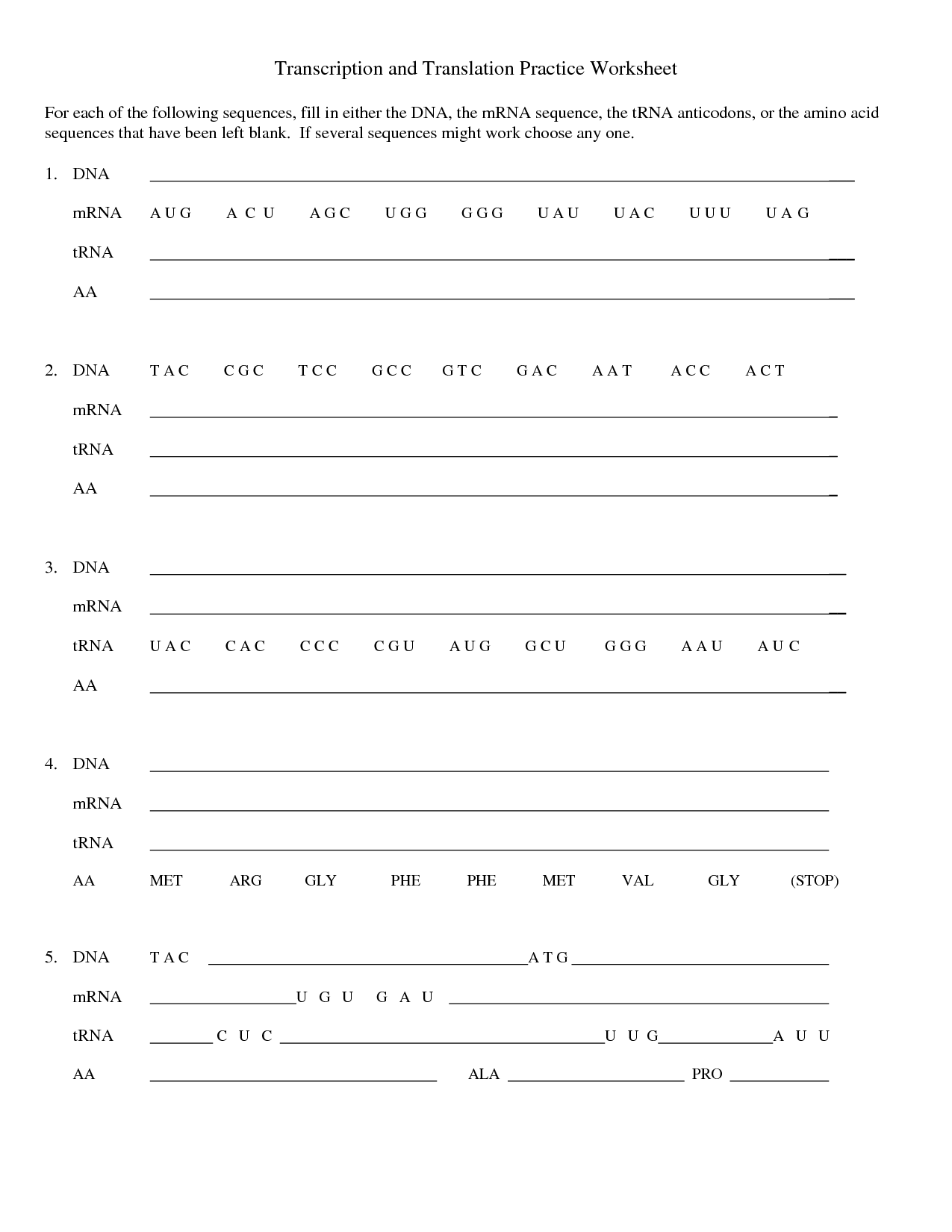 Transcription And Translation Practice Worksheet 1 Transcription And 