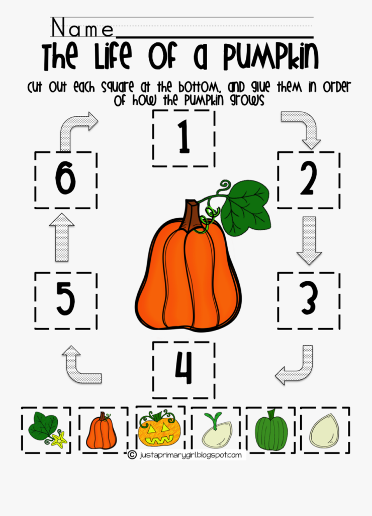 Transparent Pumpkin Life Cycle Clipart Life Cycle Of A Pumpkin 