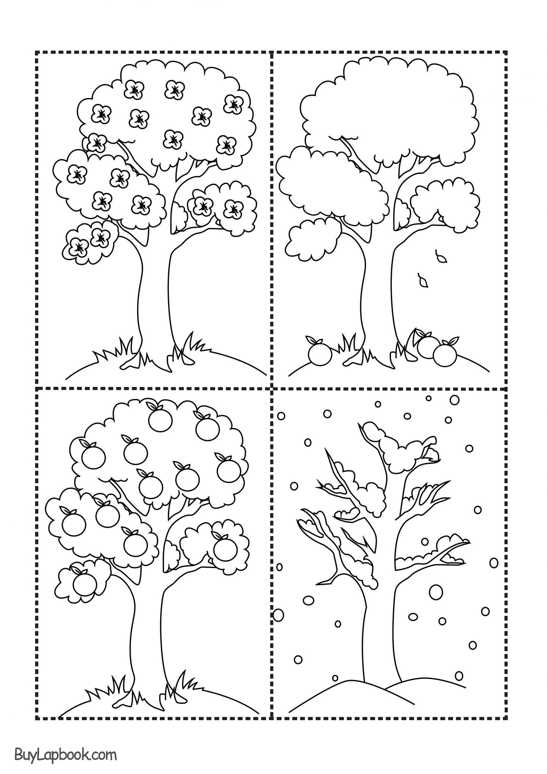 Tree Worksheets For Kindergarten Worksheet For Kindergarten In 2020