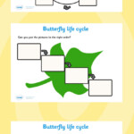 Twinkl Resources Butterfly Life Cycle Worksheets Printable