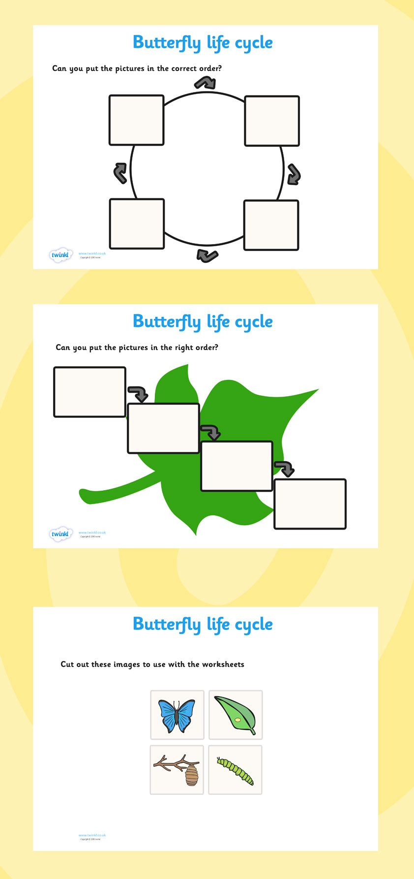 Twinkl Resources Butterfly Life Cycle Worksheets Printable 