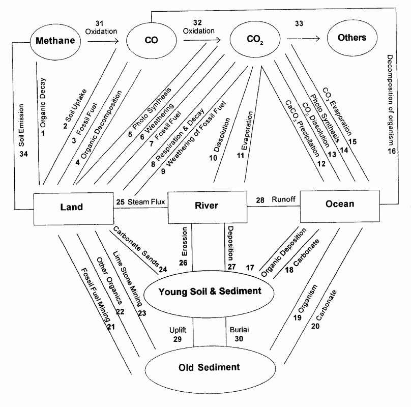 Unit 2 Biomes Biogeochemical Cycles Energy Succession Yennie Ho 