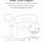 Water Carbon And Nitrogen Cycle Worksheet Answer Key