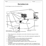 Water Carbon And Nitrogen Cycle Worksheet Color Sheet Answers Key