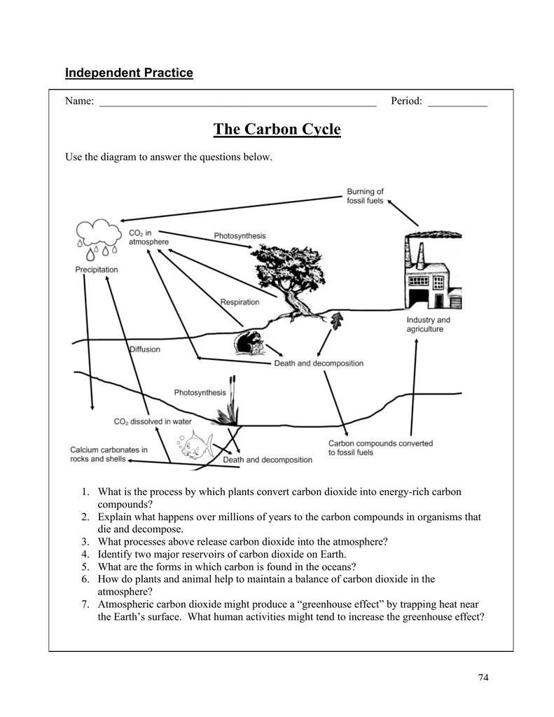 Water Carbon And Nitrogen Cycle Worksheet Color Sheet Answers Key