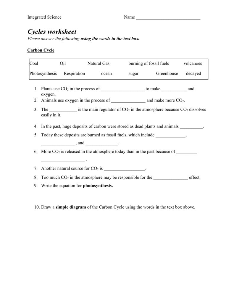 Water Carbon And Nitrogen Cycle Worksheet Color Sheet Answers