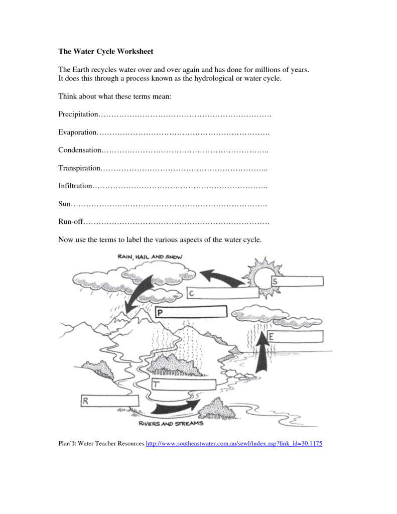 Water Cycle 4th Grade Worksheet Printable Printable Worksheets And 