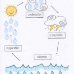 Water Cycle Activities Classroom Freebies