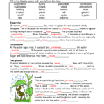 Water Cycle Cloze And Crossword KEY