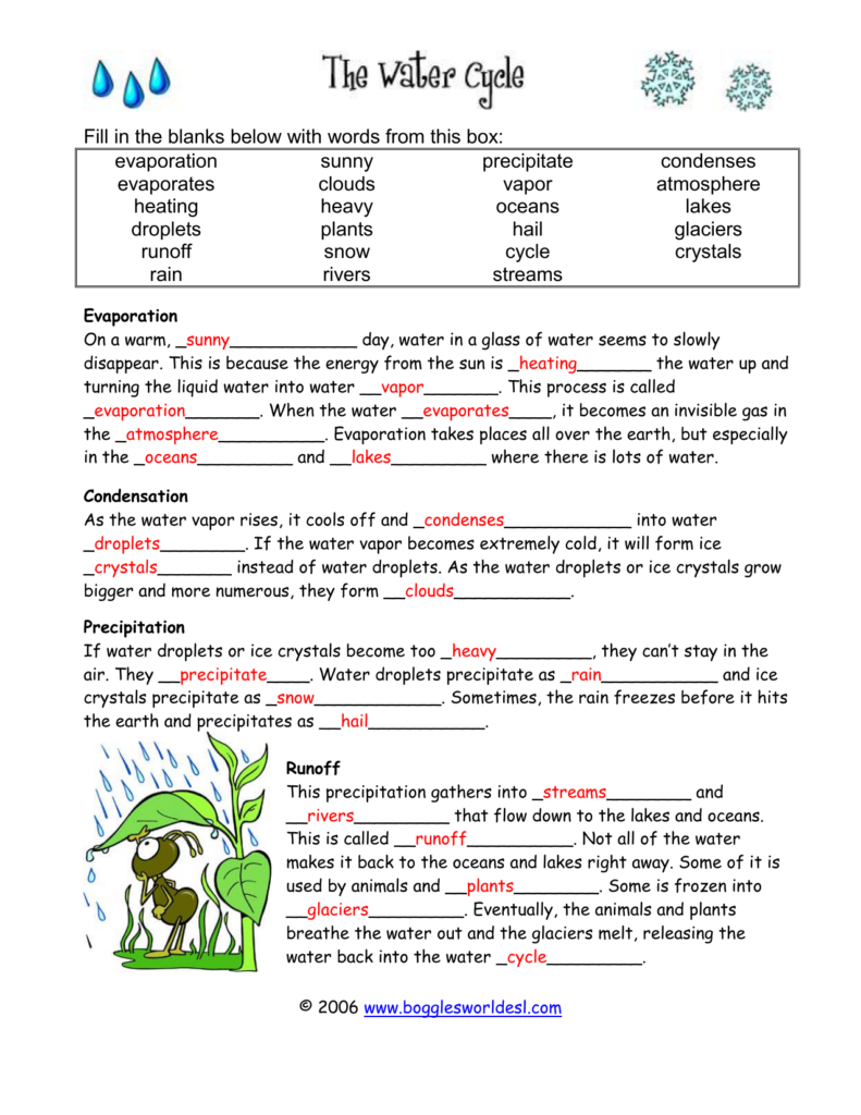 Water Cycle Cloze And Crossword KEY