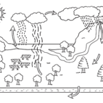 Water Cycle Diagram Geography KS3 Black And White Illustration Twinkl