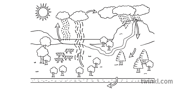 Water Cycle Diagram Geography KS3 Black And White Illustration Twinkl