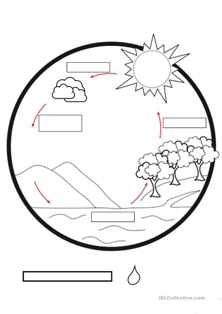 Water Cycle English ESL Worksheets For Distance Learning And Physical 