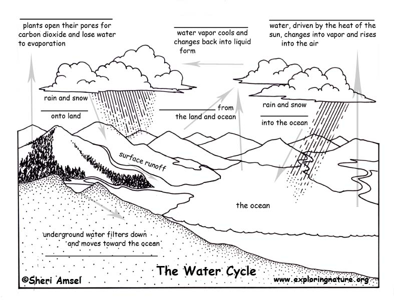 Water Cycle Fill In The Blank Quiz