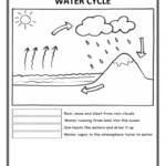 Water Cycle Interactive Worksheet Water Cycle Water Cycle Worksheet