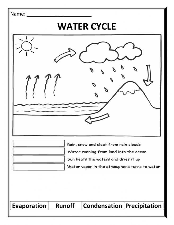 Water Cycle Interactive Worksheet Water Cycle Water Cycle Worksheet 