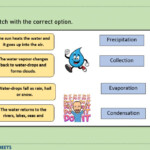 Water Cycle Matching Interactive Worksheet