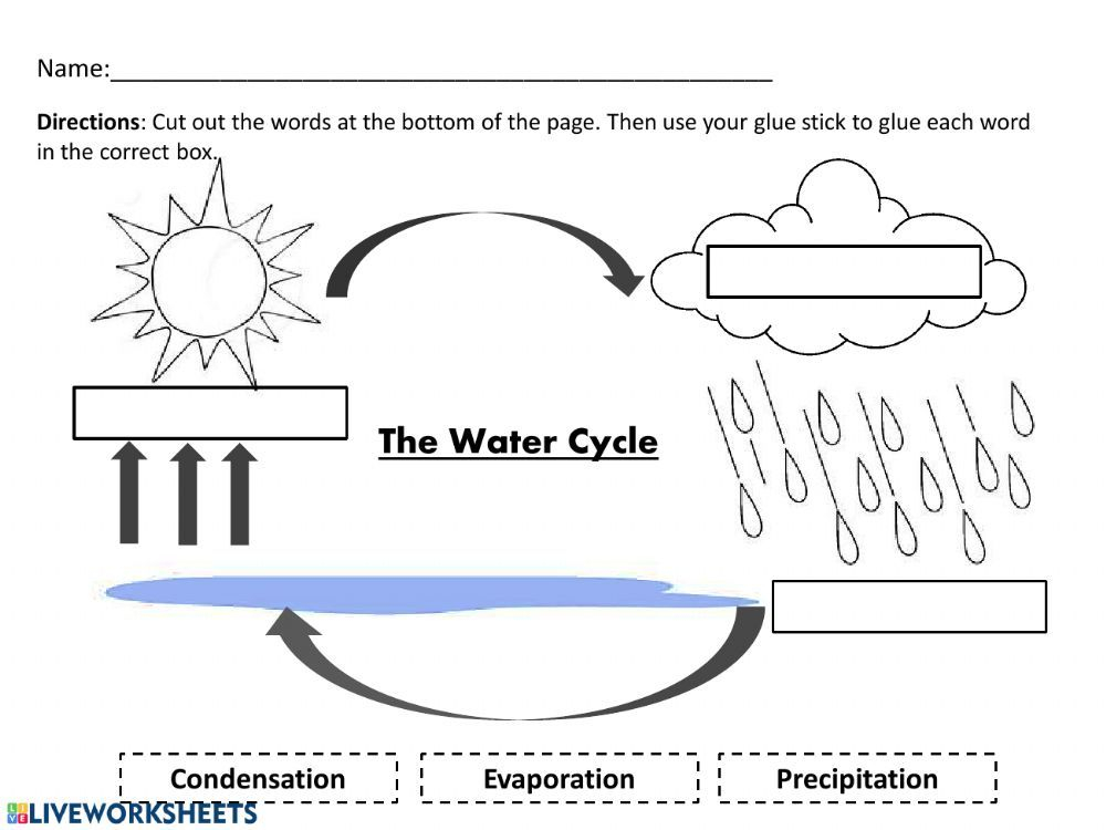 Water Cycle Online And Pdf Worksheet Water Cycle Worksheet Water