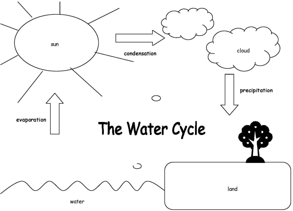 Water Cycle Worksheet Pdf Water Cycle Worksheet Middle School In 2020 