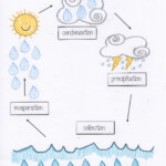 Water Cycle Worksheets 2nd Grade