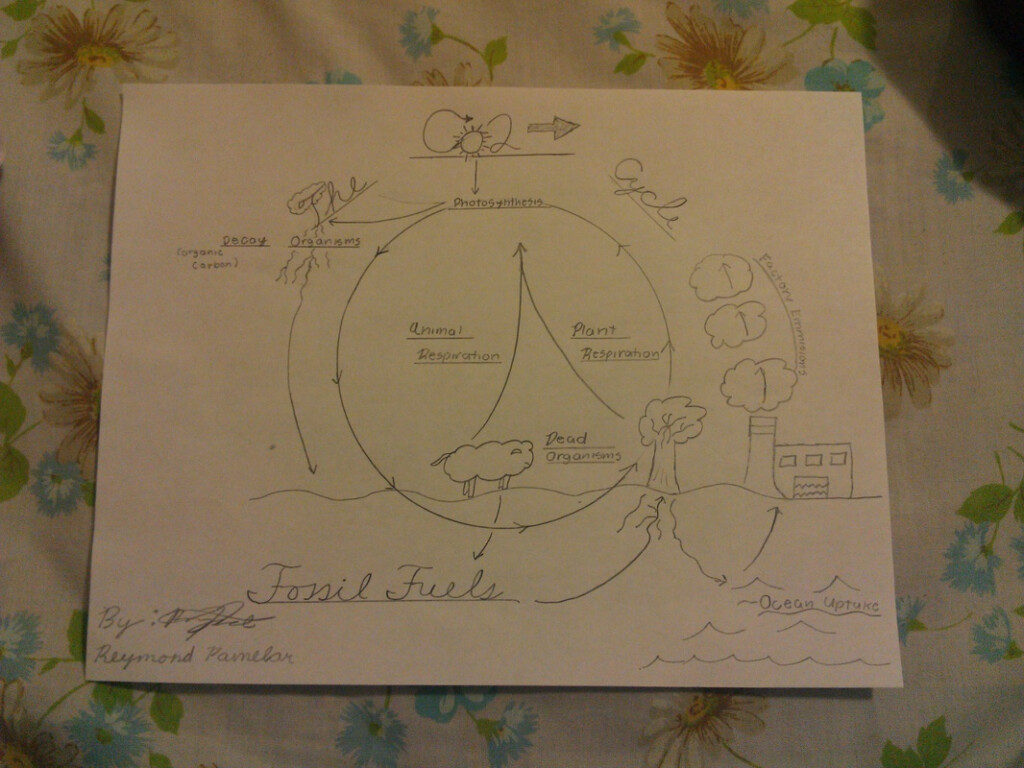 Webquest Biogeochemical Cycles APES By Reymond P 