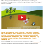 Wizer me Free Interactive Nitrogen Cycle Biology Cycles Blended