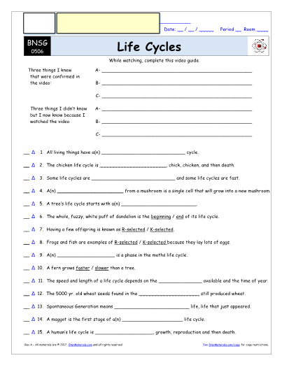 Worksheet For Bill Nye Life Cycles Video Differentiated Worksheet