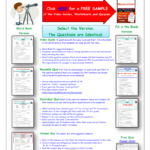 Worksheet For Bill Nye Life Cycles Video Differentiated Worksheet