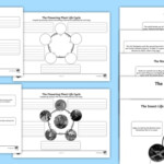 Year 5 Differentiated Life Cycles Worksheets
