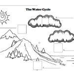 12 Matching The Water Cycle Worksheets Worksheeto