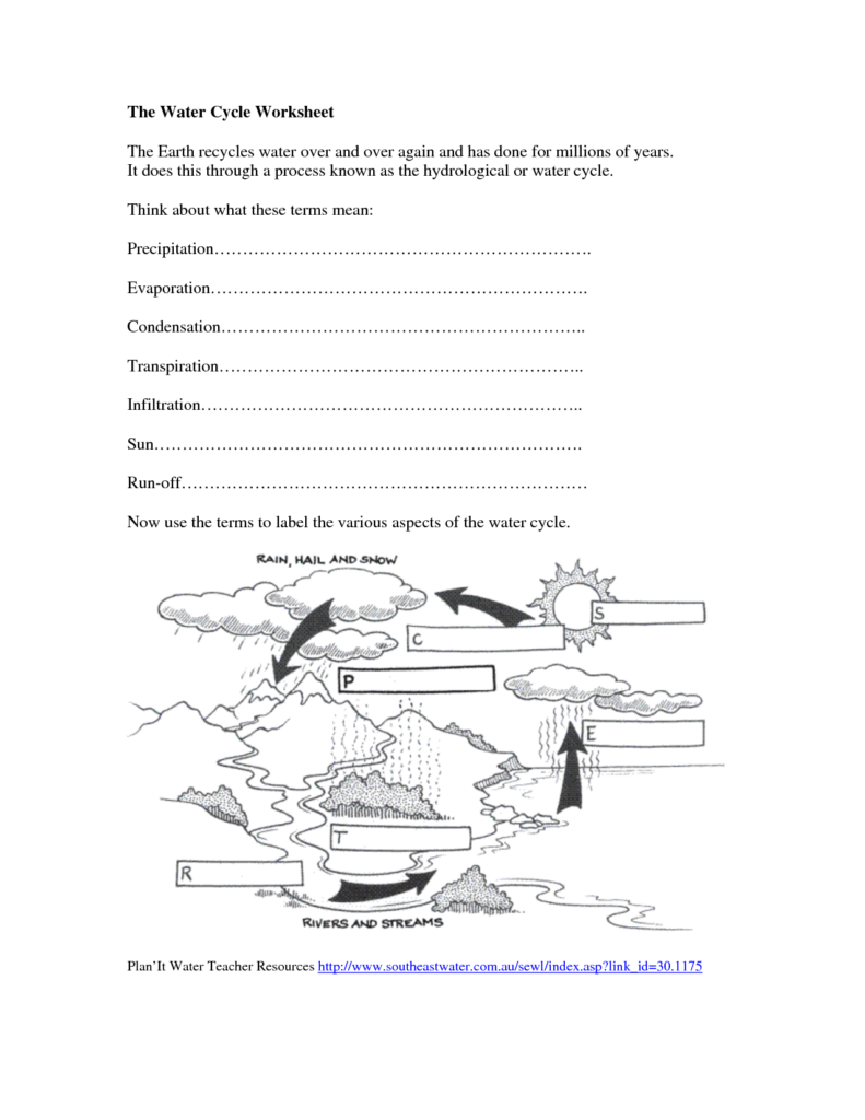 12 Water Cycle Worksheet 5th Grade Worksheeto
