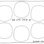 13 Best Images Of Life Cycle Worksheets Grade 3 Worksheeto