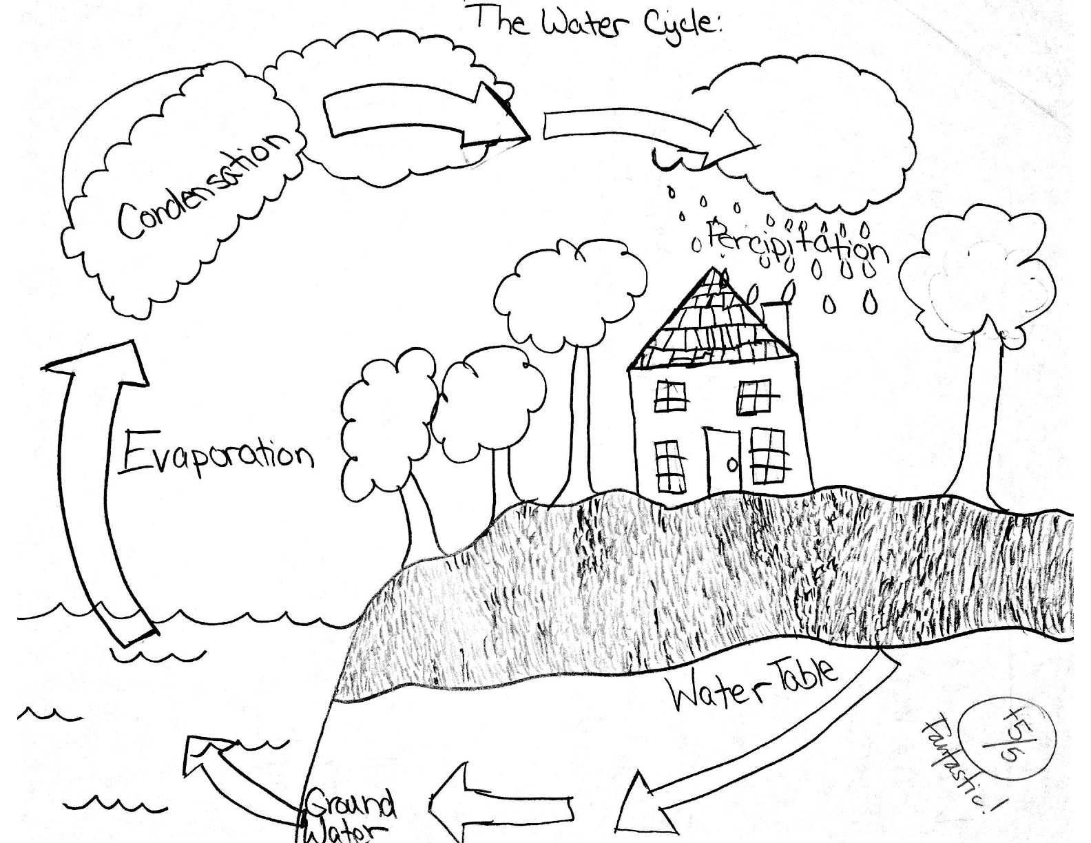 13 The Water Cycle Worksheet Answers Worksheeto