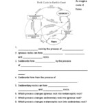 15 Time Cycle Worksheets Worksheeto