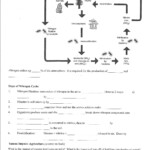 17 Nitrogen Cycle Worksheet Middle School Worksheeto