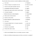17 Primary Vs Secondary Succession Worksheet Worksheeto