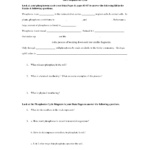 18 Rock Cycle Worksheet Middle School Worksheeto